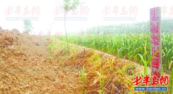 2011年底一名孩子在三輪車上趕作業(yè)。一年半過去了，這樣的場景仍隨處可見。