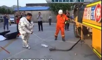 校車里闖入三米長大蛇，三名消防員輪番上陣終制服！