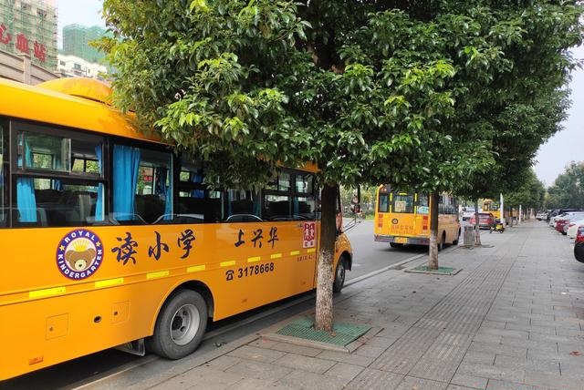 衡陽：向不文明行為說“不”，天臺(tái)路校車扎堆亂停 導(dǎo)致交通混亂