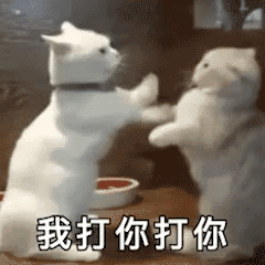 交警集中嚴查校車，“問題”車輛立即整改！孩子乘坐校車要注意十個細節(jié)……