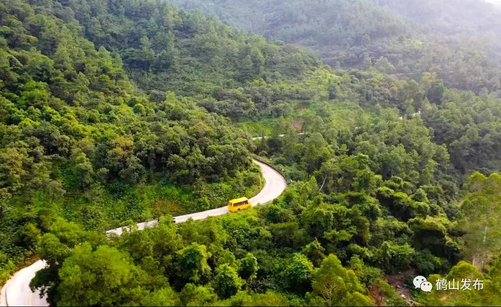 滴！滴！滴！古勞茶山村校車專線開通！