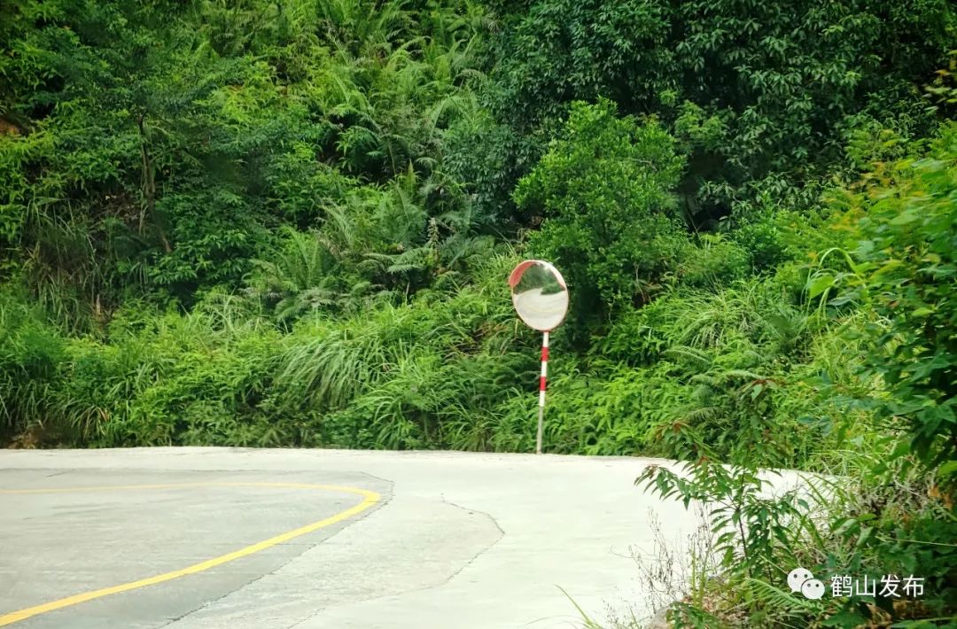 滴！滴！滴！古勞茶山村校車專線開通！