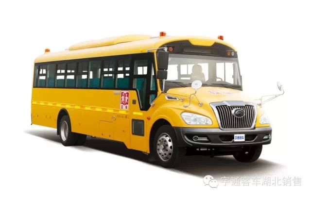 校車：從起初鐘情到一路相伴，無畏風雨