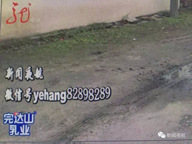 小學(xué)生放學(xué)回家 下車后被送他的校車碾軋致死