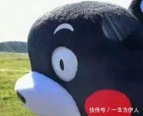 專車接送！咱肥東這38所學(xué)校已經(jīng)開通校車?yán)?，有你家附近的嗎? border=