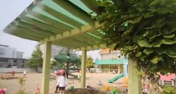 日本幼兒園的一日生活：每天校車接送，兩次戶外活動，無午睡時間