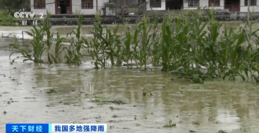 緊急！緊急！84條河流現(xiàn)超警洪水！上萬畝農(nóng)田被淹，校車陷1米深積水…