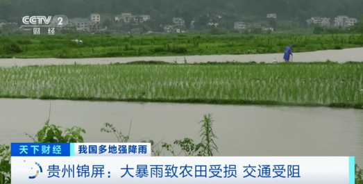 緊急！緊急！84條河流現(xiàn)超警洪水！上萬畝農(nóng)田被淹，校車陷1米深積水…