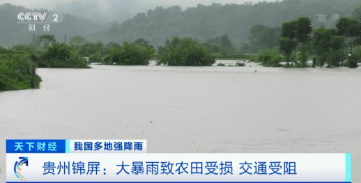 緊急！緊急！84條河流現(xiàn)超警洪水！上萬畝農(nóng)田被淹，校車陷1米深積水…